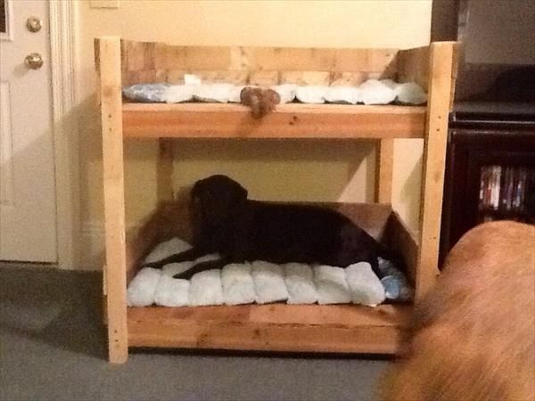 DIY Pet Bunk Bed - Plans to Build Dog Bed Pallet 